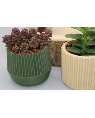 pots-succulentes-3D