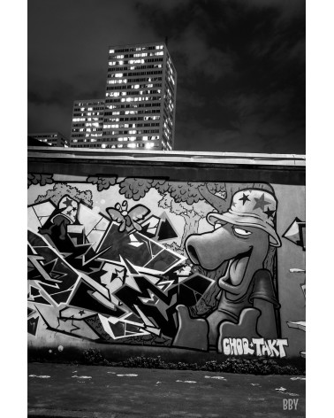 Grafitti-Olympiades-BBY-Photographie